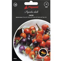 Balenie semien Piquant Paprika Chilli Cancun s 12 semenami