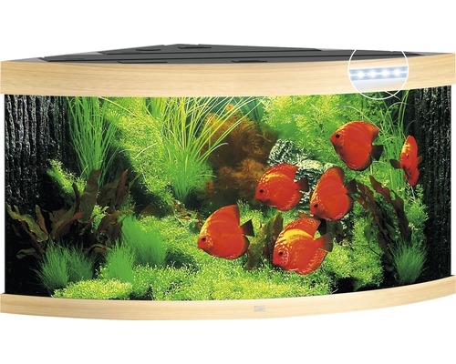 Rohové akvárium s rastlinami a rybami
