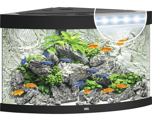 Rohové akvárium s rybami, rastlinami, kameňmi a osvetlením