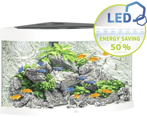 Rohové akvárium s rybami, kameňmi a rastlinami