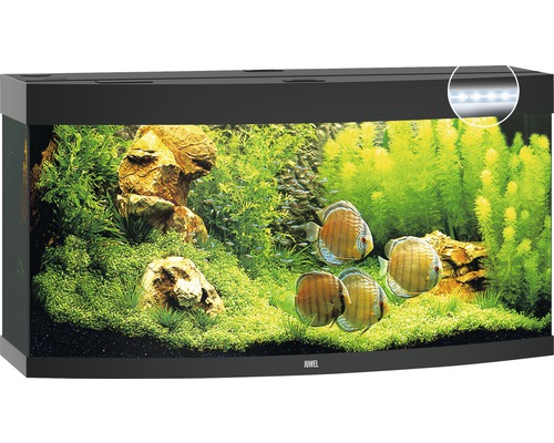 Akvárium zdobené rybami, rastlinami a kameňmi