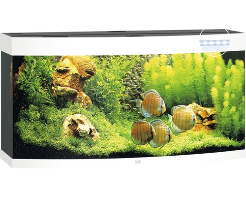 Kompletne zariadené akvárium s rybami, rastlinami a osvetlením