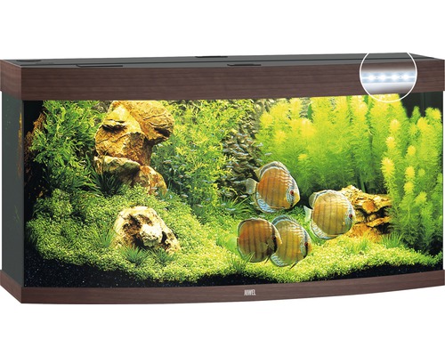 Akvárium s dekoráciou, rastlinami a rybami