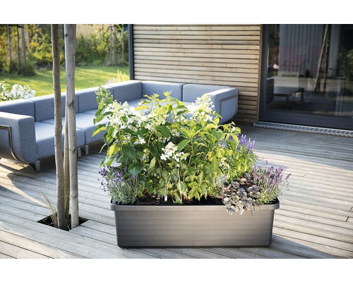 Kvetináč s rastlinami na terase s posedením