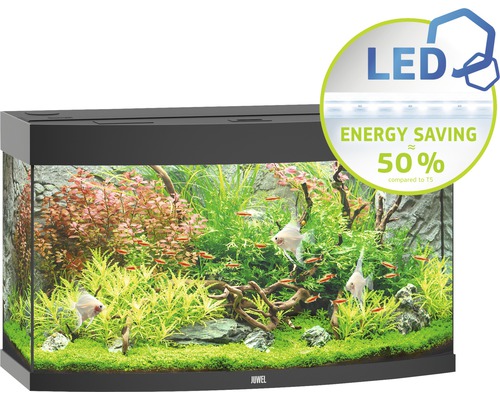 Akvárium s rybami a rastlinami