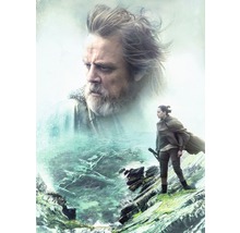 Fototapeta papierová 4-438 Star Wars Last Jedi 4-dielna 184x254 cm
