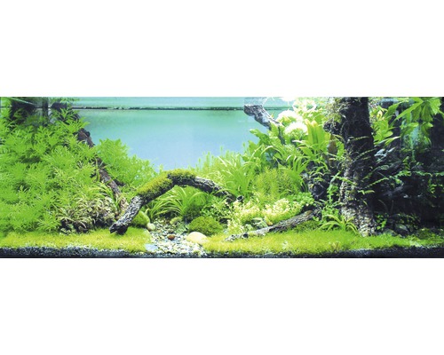 Akvárium s dekoráciou z rastlín a koreňového dreva