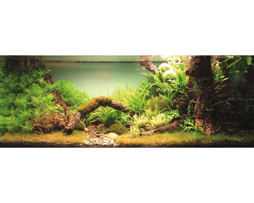 Akvárium osadené rastlinami, kameňmi a koreňovým drevom