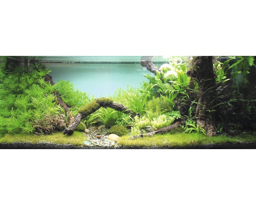 Dekoratívne akvárium s rastlinami, kameňmi a drevenými prvkami