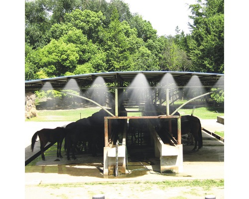 Kôň pod zavlažovacím systémom na chladenie a čistenie