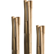 Bambusová tyč na rastliny 90 cm Ø 6 mm 10 ks-thumb-0