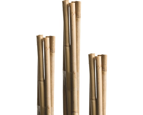 Bambusová tyč na rastliny 90 cm Ø 6 mm 10 ks