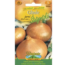 Semená cibule odrody Stuttgarter Stuttgarter