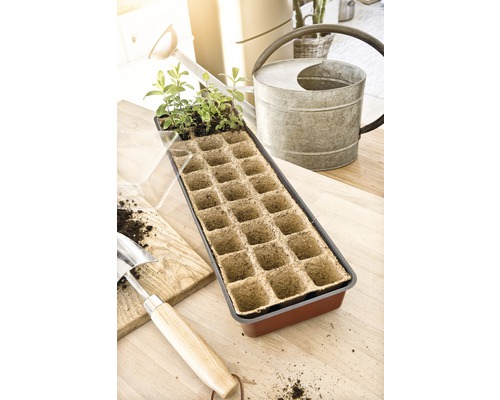 Miska na sadenie s mladými rastlinami, krhla a lopatka na stole