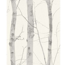 Tapeta s motívom brezy