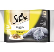 Kapsička pre mačky Sheba Delicacy in Jelly 4x85 g-thumb-1