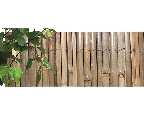 Bambusová rohož štiepaná prírodná 2x5 m-0