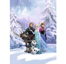Fototapeta papierová 4-498 Frozen Winter Land 4-dielna 184x254 cm-thumb-1