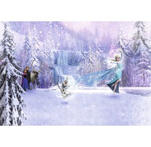 Fototapeta papierová 8-499 Frozen Forest 8-dielna 368x254 cm