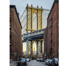 Fototapeta vliesová XXL2-013 New York Brooklyn 2dielna 184x248 cm