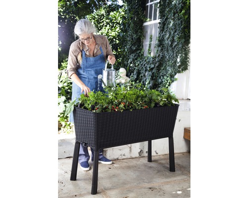 Žena zalieva rastliny v čiernom vyvýšenom záhone v záhrade