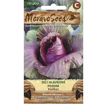 Balenie semien červenej kapusty