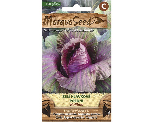 Hlávková kapusta neskorá KALIBOS červená na skladovanie MoravoSeed Balenie semien červenej kapusty