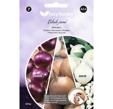 Výsevný pásik jarnej cibule EasyGarden, odroda Grenada, Tandem a Avalon