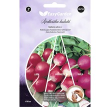 Balenie semien redkvičky s rôznymi odrodami