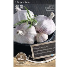 Tri kusy cesnaku Arno na sadenie