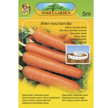 Páska so semenami mrkvy