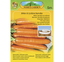 Pások semien mrkvy pre skorú úrodu