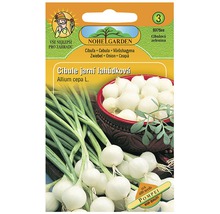 Balenie sadeníc cibule Nohelgarden