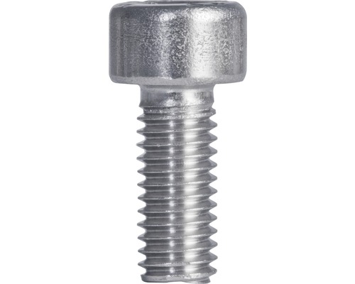 Skrutka s šošovkovitou hlavou z kovu