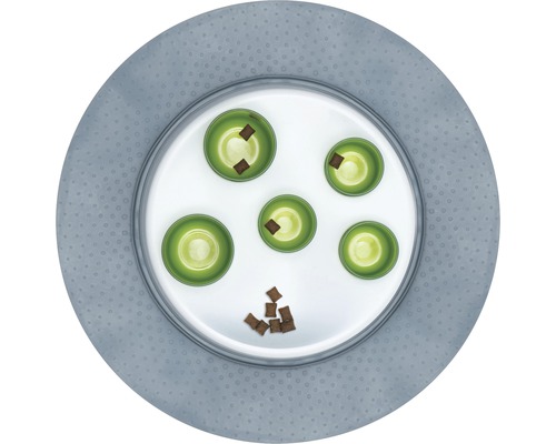 Interaktívna hračka pre psov s krmivom