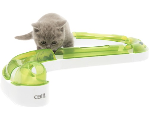 Sivá mačka sa hrá s hračkou pre mačky