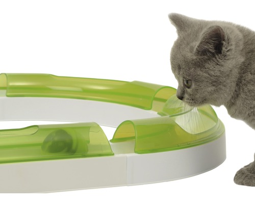 Mačka sa hrá s hračkou pre mačky s loptičkou