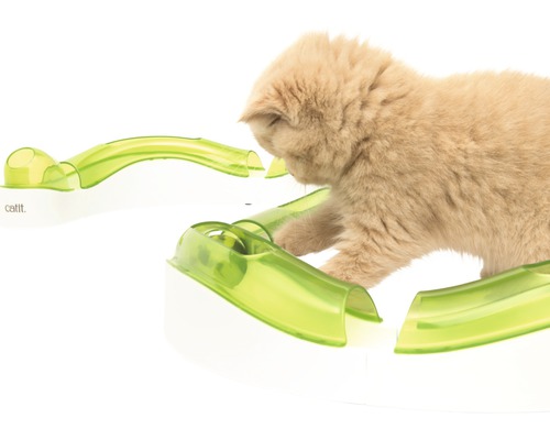 Mačka sa hrá s interaktívnou hračkou pre mačky na bielom povrchu