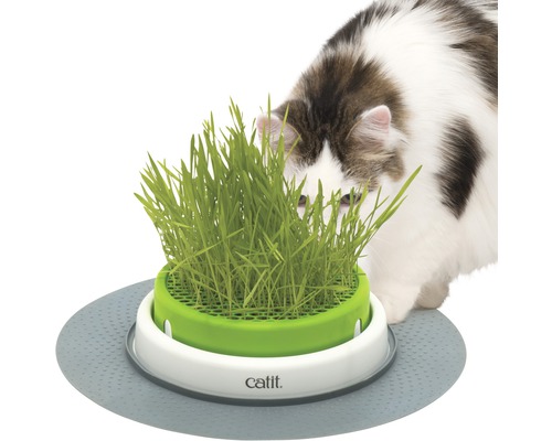Miska pre mačky na trávu Catit Senses 2.0 Grass Planter