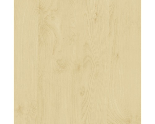 Samolepiaca fólia d-c-fix breza 45 cm (metráž)