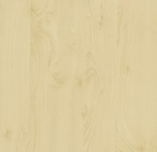Samolepiaca fólia d-c-fix breza 67,5 cm (metráž)