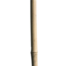 Bambusová tyč oporná 210 cm 18/20 mm prírodná-thumb-0