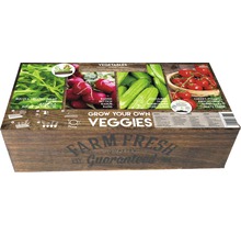 Súprava zeleninovej záhrady s rukolou, reďkovkami, uhorkami a cherry paradajkami