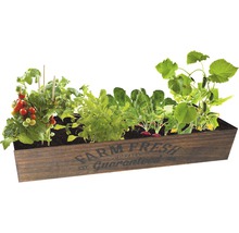 Drevený vyvýšený záhon osadený paradajkami, reďkovkami, uhorkami a šalátom