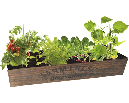 Drevený vyvýšený záhon osadený paradajkami, reďkovkami, uhorkami a šalátom