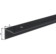 Profil schodový ochranný čierny 25x20 mm 1 m-thumb-3