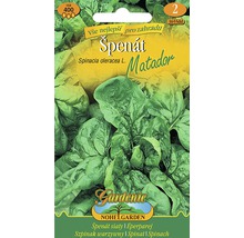 Balenie semien špenátu Matador
