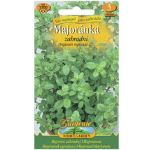 Balíček semien majoránky do záhrady