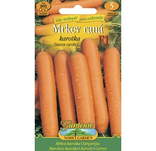 Balenie semien mrkvy