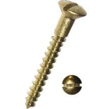 Mosadzná skrutka s šošovkovou hlavou a zodpovedajúcou krycou krytkou